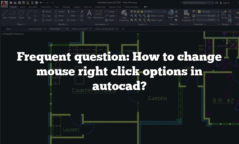 Frequent question: How to change mouse right click options in autocad?