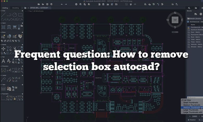 Frequent question: How to remove selection box autocad?