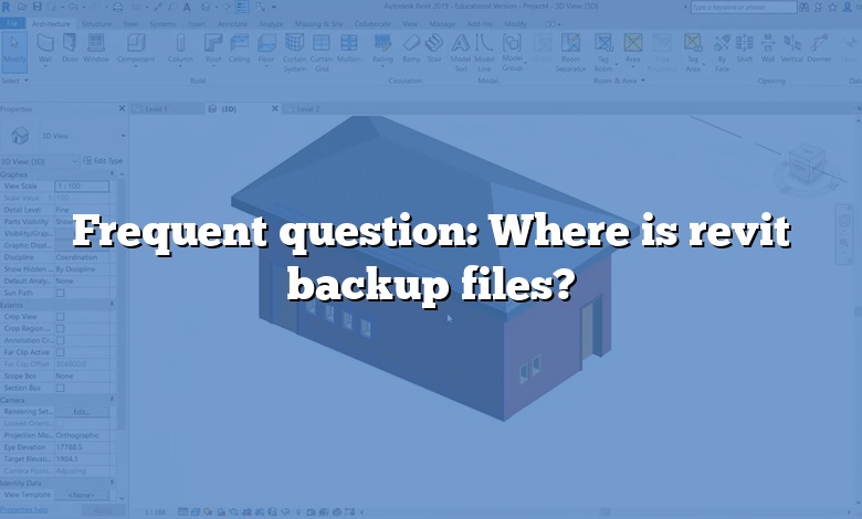 Frequent question: Where is revit backup files?