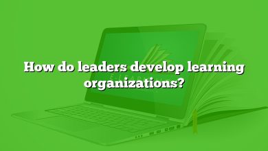 How do leaders develop learning organizations?