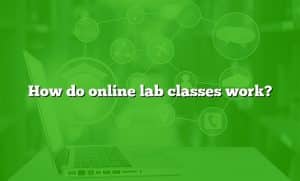 online laboratory classes research paper