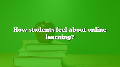 How students feel about online learning?