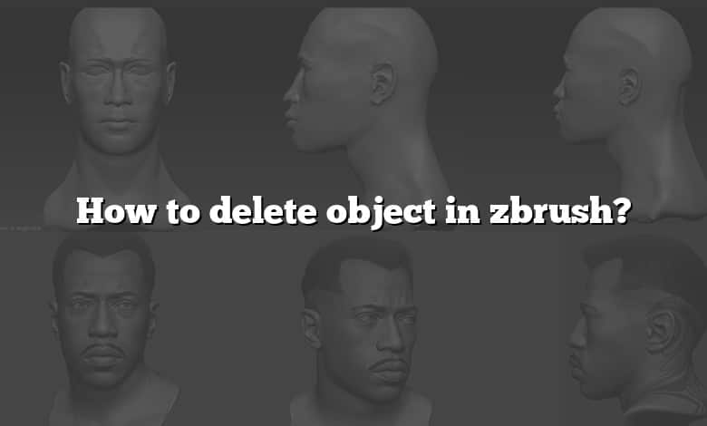 how to delete imported items in zbrush