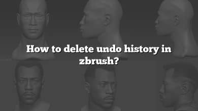 How to delete undo history in zbrush?