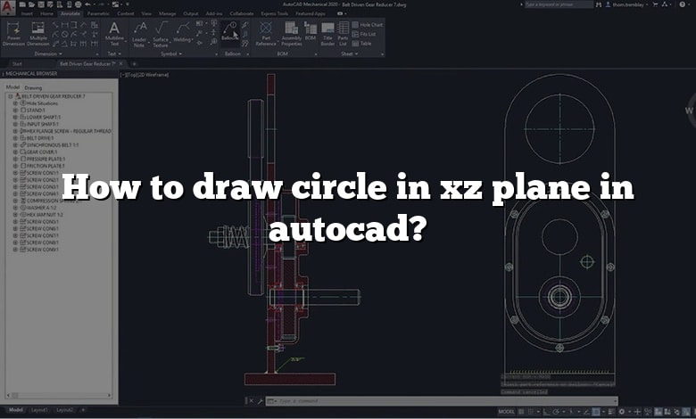 How to draw circle in xz plane in autocad?