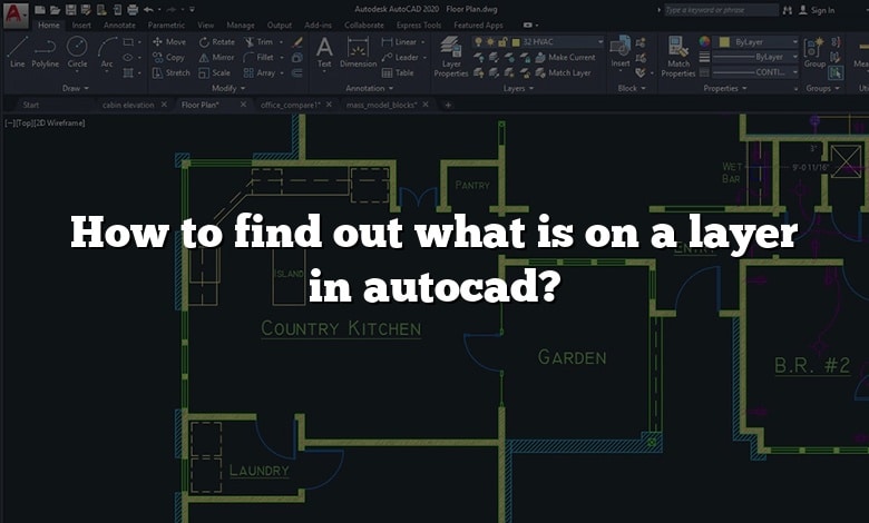 How to find out what is on a layer in autocad?