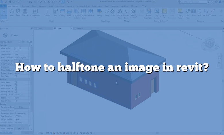 How to halftone an image in revit?