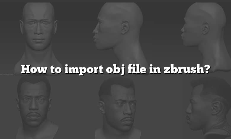 how to import obj into zbrush 2018
