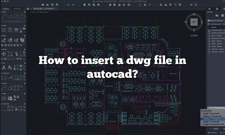 How to insert a dwg file in autocad?