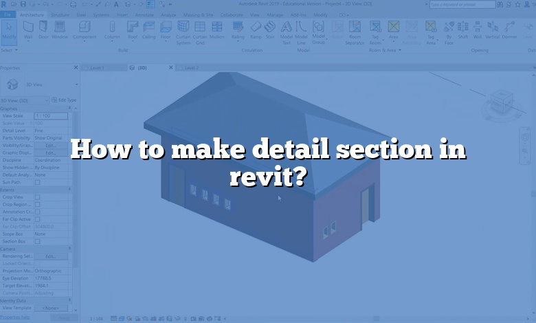 How to make detail section in revit?