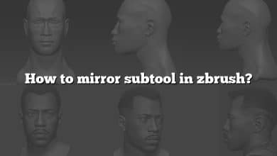 How to mirror subtool in zbrush?