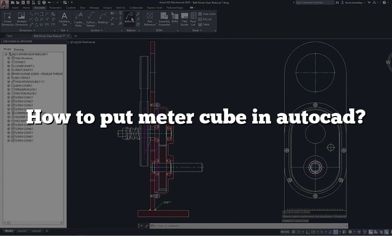 How to put meter cube in autocad?