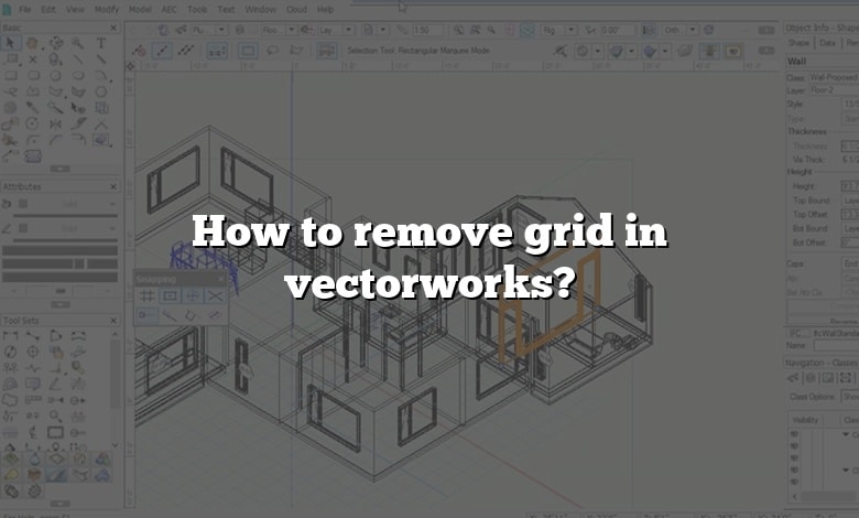 How To Remove Grid In Vectorworks 