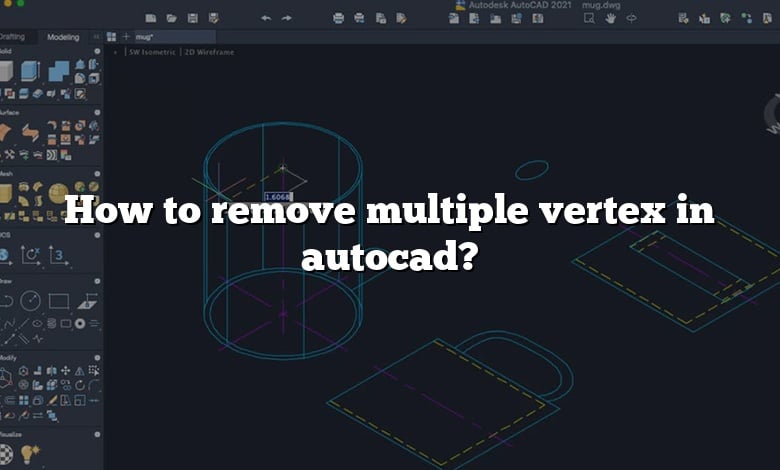 How to remove multiple vertex in autocad?