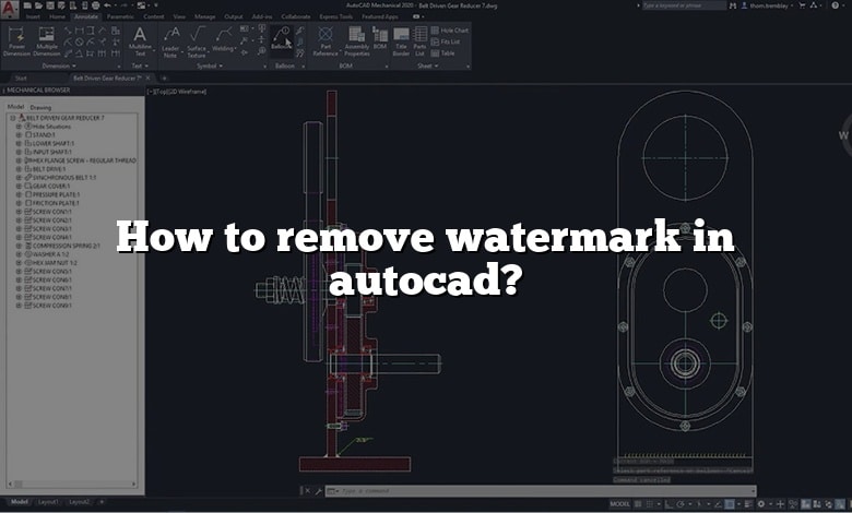 How to remove watermark in autocad?