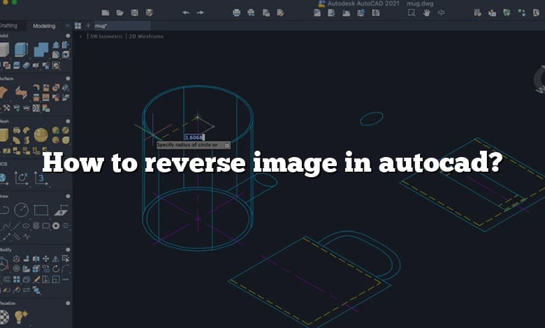 How to reverse image in autocad?