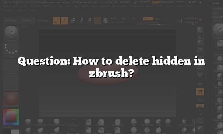 where is delete hidden in zbrush