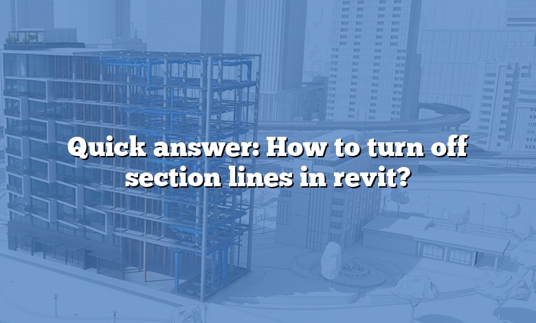 Quick answer: How to turn off section lines in revit?