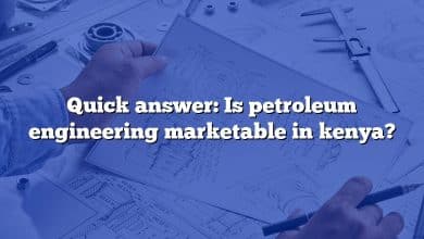 Quick answer: Is petroleum engineering marketable in kenya?