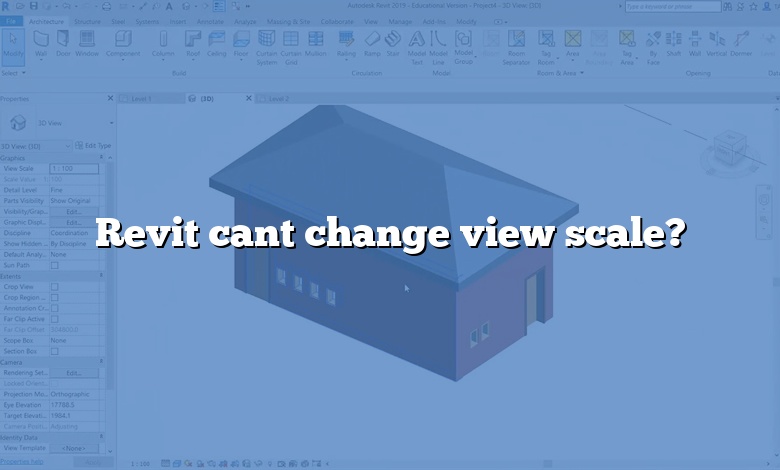 Revit cant change view scale?