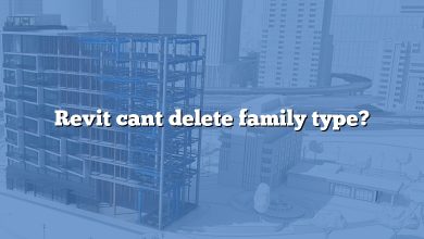 Revit cant delete family type?